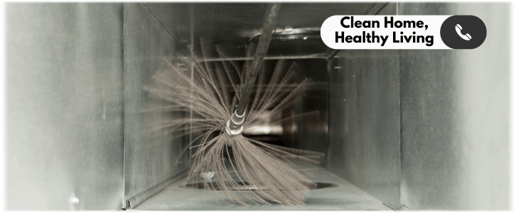 Air Duct Mold Removal in Gurnee IL